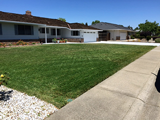 Before moisture manager