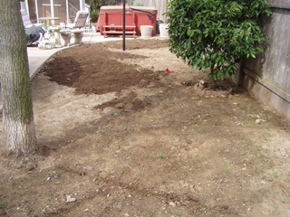 Before installing new sod