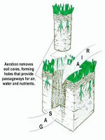 Lawn Aerating
