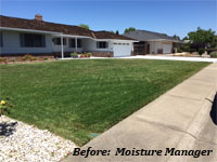 moisture manager1 example